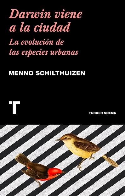 DARWIN VIENE A LA CIUDAD | 9788417141752 | SCHILTHUIZEN, MENNO | Llibreria La Gralla | Llibreria online de Granollers