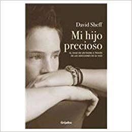 BEAUTIFUL BOY (BOLSILLO) | 9788466349208 | SHEFF, DAVID | Llibreria La Gralla | Librería online de Granollers