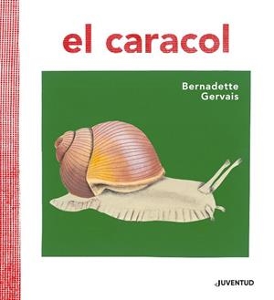CARACOL, EL | 9788426145673 | BERNADETTE GERVAIS | Llibreria La Gralla | Llibreria online de Granollers