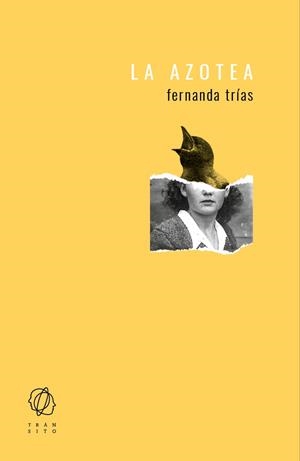 AZOTEA, LA | 9788494909504 | TRÍAS, FERNANDA | Llibreria La Gralla | Librería online de Granollers