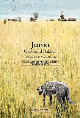 JUNIO | 9788416689880 | BAKKER, GERBRAND | Llibreria La Gralla | Librería online de Granollers