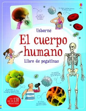 CUERPO HUMANO, EL  | 9781474964159 | USBORNE | Llibreria La Gralla | Librería online de Granollers