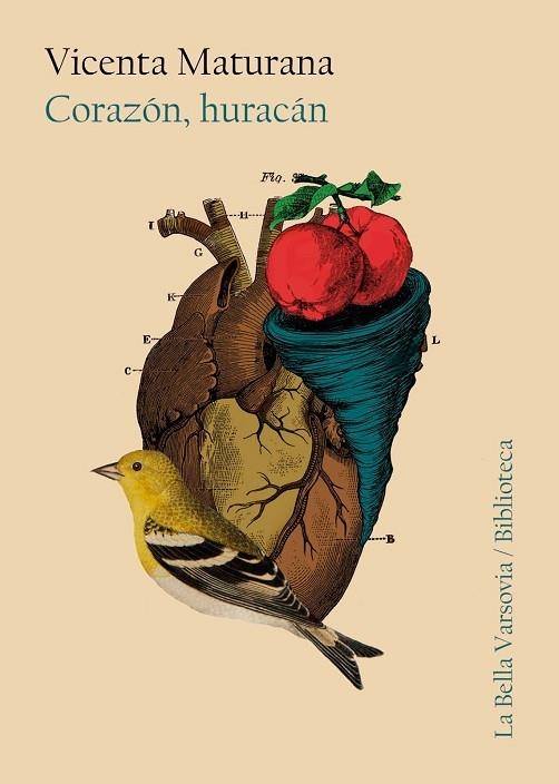 CORAZON, HURACAN | 9788494841217 | MATURANA, VICENTA | Llibreria La Gralla | Llibreria online de Granollers