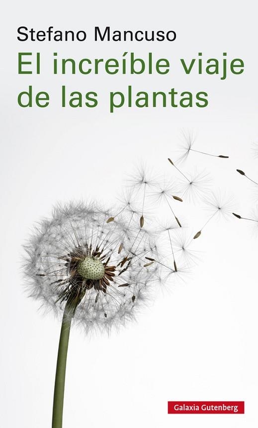 INCREÍBLE VIAJE DE LAS PLANTAS, EL | 9788417747312 | MANCUSO, STEFANO | Llibreria La Gralla | Llibreria online de Granollers