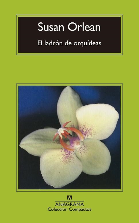 LADRÓN DE ORQUÍDEAS, EL (BOLSILLO) | 9788433960429 | ORLEAN, SUSAN | Llibreria La Gralla | Llibreria online de Granollers