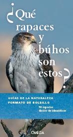 QUE RAPACES Y BUHOS SON ESTOS? | 9788428217095 | DIERSCHKE, VOLKER | Llibreria La Gralla | Librería online de Granollers