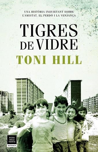 TIGRES DE VIDRE (BUTXACA) | 9788417444747 | HILL, TONI | Llibreria La Gralla | Llibreria online de Granollers