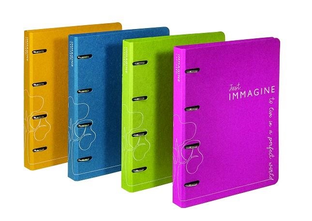 CARPESA 4 ANELLES 25 MM A4 CARTRO RECICLAT IMMAGINE COLORS | 8422951058268 | 12010299 | Llibreria La Gralla | Llibreria online de Granollers