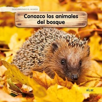 CONOZCO LOS ANIMALES DEL BOSQUE | 9788491422938 | LAMOUR-CROCHET, CÉLINE | Llibreria La Gralla | Librería online de Granollers