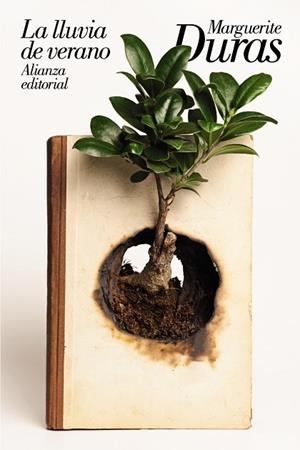 LLUVIA DE VERANO, LA  | 9788491814962 | DURAS, MARGUERITE | Llibreria La Gralla | Llibreria online de Granollers