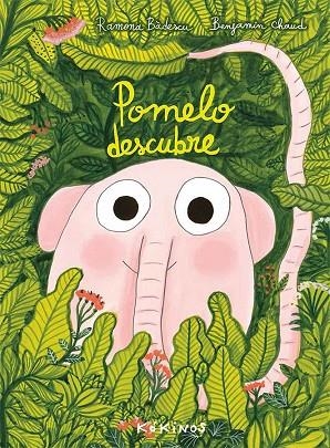 POMELO DESCUBRE | 9788417074531 | BÂDESCU, RAMONA | Llibreria La Gralla | Librería online de Granollers