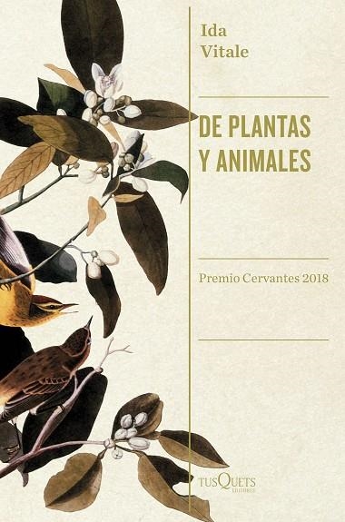 DE PLANTAS Y ANIMALES | 9788490666753 | VITALE, IDA | Llibreria La Gralla | Llibreria online de Granollers