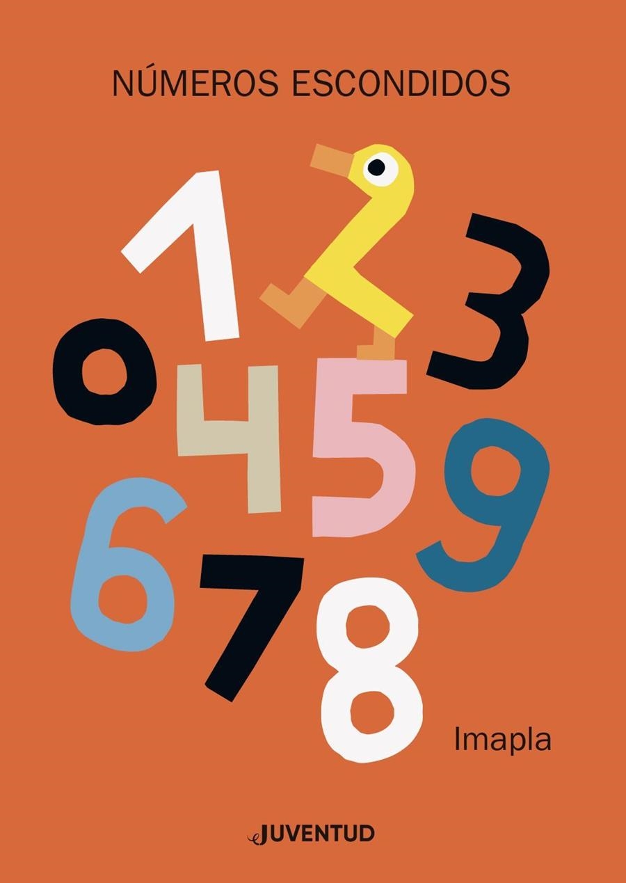 NÚMEROS ESCONDIDOS | 9788426145734 | PLA SANTAMANS, IMMA | Llibreria La Gralla | Librería online de Granollers