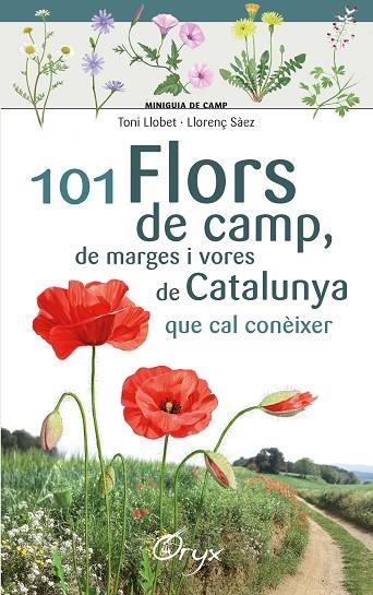 101 FLORS DE CAMP, DE MARGES I VORES DE CATALUNYA | 9788490348413 | LLOBET FRANÇOIS , TONI; SÀEZ GOÑALONS , LLORENÇ | Llibreria La Gralla | Llibreria online de Granollers