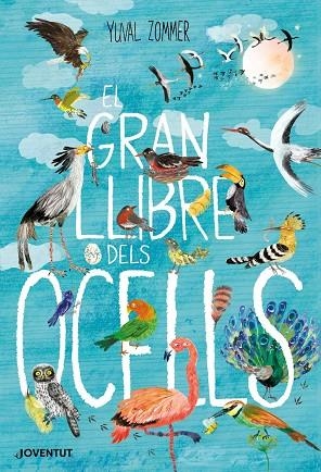 GRAN LLIBRE DELS OCELLS, EL  | 9788426145840 | ZOMMER, YUVAL | Llibreria La Gralla | Llibreria online de Granollers