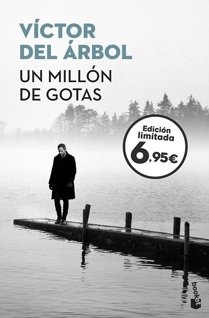 MILLÓN DE GOTAS, UN (BOLSILLO) | 9788423355624 | DEL ÁRBOL, VÍCTOR | Llibreria La Gralla | Llibreria online de Granollers