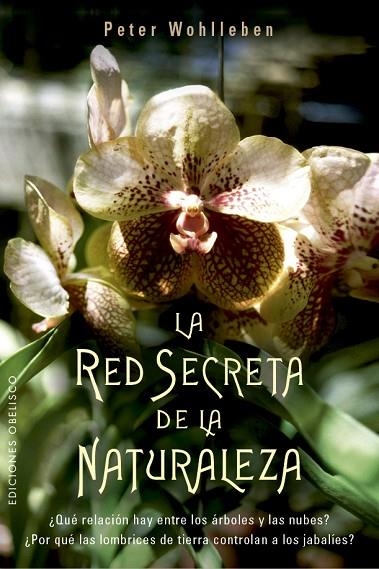 RED SECRETA DE LA NATURALEZA, LA | 9788491114192 | WOHLLEBEN, PETER | Llibreria La Gralla | Llibreria online de Granollers