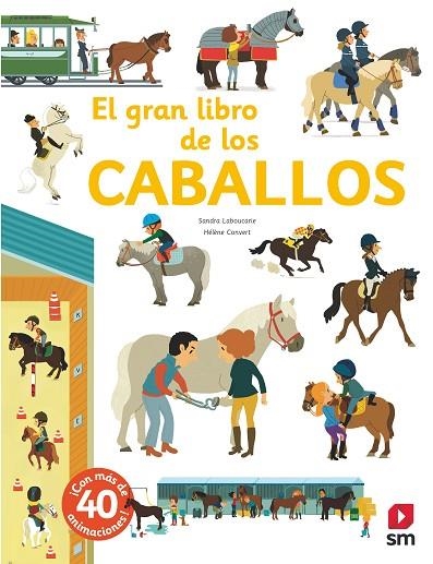 GRAN LIBRO DE LOS CABALLOS, EL | 9788491820482 | LABOUCARIE, SANDRA | Llibreria La Gralla | Llibreria online de Granollers