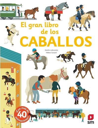 GRAN LIBRO DE LOS CABALLOS, EL | 9788491820482 | LABOUCARIE, SANDRA | Llibreria La Gralla | Librería online de Granollers