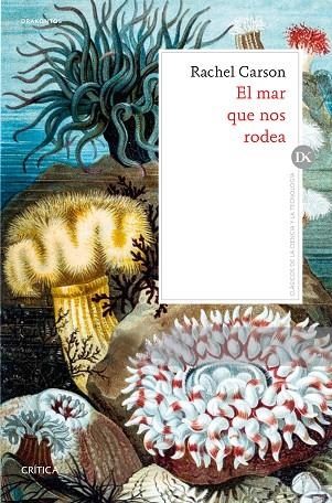 MAR QUE NOS RODEA, EL  | 9788491991069 | CARSON, RACHEL | Llibreria La Gralla | Llibreria online de Granollers