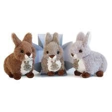 PELUIX CONILL PETIT CAIXETA HISTOIRE D'OURS | 3700349325402 | HO2540 | Llibreria La Gralla | Llibreria online de Granollers