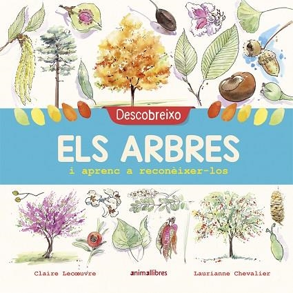 DESCOBREIXO ELS ARBRES I APRENC A RECONÈIXER-LOS | 9788417599195 | LECOEUVRE, CLAIRE | Llibreria La Gralla | Llibreria online de Granollers