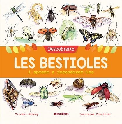 DESCOBREIXO LES BESTIOLES I APRENC A RECONÈIXER-LES | 9788417599201 | ALBOUY, VINCENT | Llibreria La Gralla | Llibreria online de Granollers