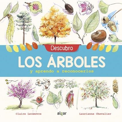 DESCUBRO LOS ÁRBOLES Y APRENDO A RECONOCERLOS | 9788491422952 | LECOEUVRE, CLAIRE | Llibreria La Gralla | Llibreria online de Granollers