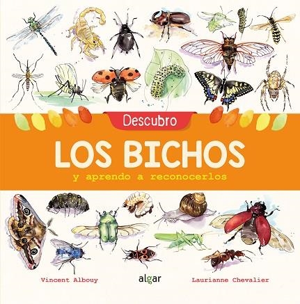 DESCUBRO LOS BICHOS Y APRENDO A RECONOCERLOS | 9788491422969 | ALBOUY, VINCENT | Llibreria La Gralla | Llibreria online de Granollers