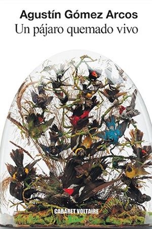 UN PÁJARO QUEMADO VIVO | 9788494941443 | GÓMEZ ARCOS, AGUSTÍN | Llibreria La Gralla | Librería online de Granollers