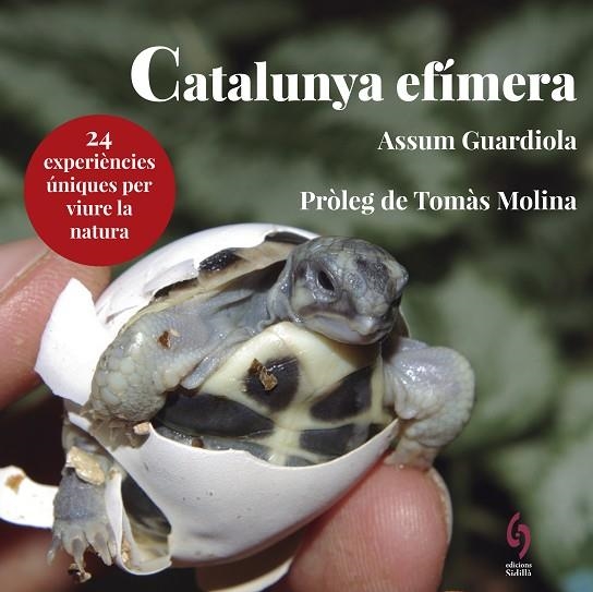 CATALUNYA EFÍMERA | 9788494928147 | GUARDIOLA, ASSUM | Llibreria La Gralla | Llibreria online de Granollers