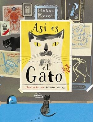 ASÍ ES EL GATO | 9788494992605 | WIERZBA, PAULINA | Llibreria La Gralla | Librería online de Granollers