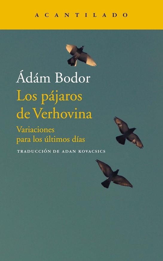 PÁJAROS DE VERHOVINA, LOS | 9788417346706 | ÁDÁM BODOR | Llibreria La Gralla | Llibreria online de Granollers