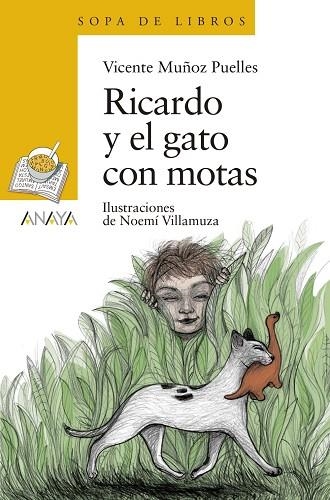 RICARDO Y EL GATO CON MOTAS | 9788469848272 | MUÑOZ PUELLES, VICENTE | Llibreria La Gralla | Llibreria online de Granollers