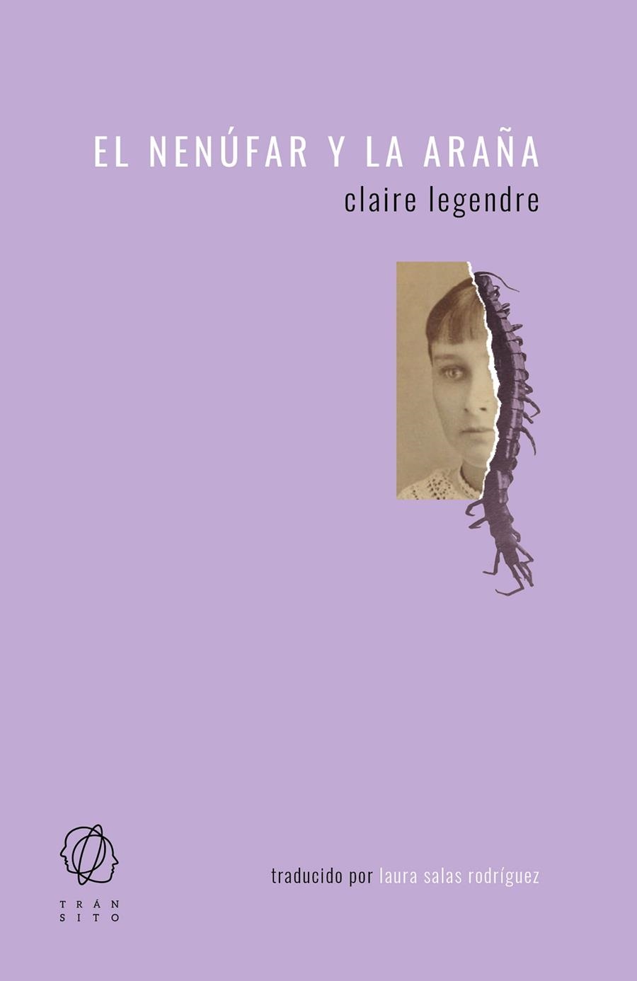 NENÚFAR Y LA ARAÑA, EL | 9788494909535 | LEGENDRE, CLAIRE | Llibreria La Gralla | Llibreria online de Granollers
