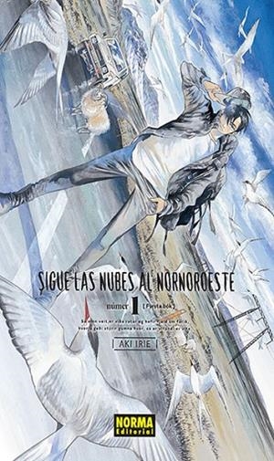 SIGUE LAS NUBES AL
NORNOROESTE 1 | 9788467937749 | AKI IRIE | Llibreria La Gralla | Librería online de Granollers