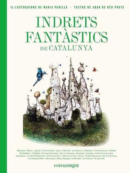INDRETS FANTÀSTICS DE CATALUNYA | 9788417188986 | PRATS PIJOAN, JOAN DE DÉU/PADILLA CLIMENT, MARIA | Llibreria La Gralla | Librería online de Granollers