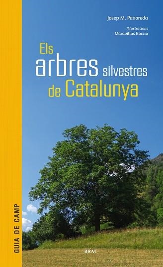 ARBRES SILVESTRES DE CATALUNYA, ELS | 9788415885856 | PANAREDA, JOSEP M | Llibreria La Gralla | Llibreria online de Granollers