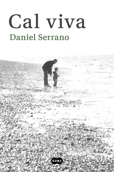 CAL VIVA | 9788491293675 | SERRANO, DANIEL | Llibreria La Gralla | Librería online de Granollers