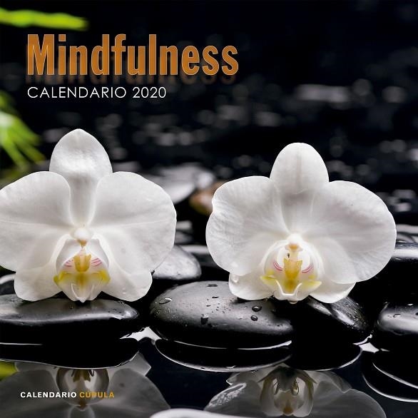 CALENDARIO MINDFULNESS 2020 | 9788448026110 | AA. VV. | Llibreria La Gralla | Llibreria online de Granollers