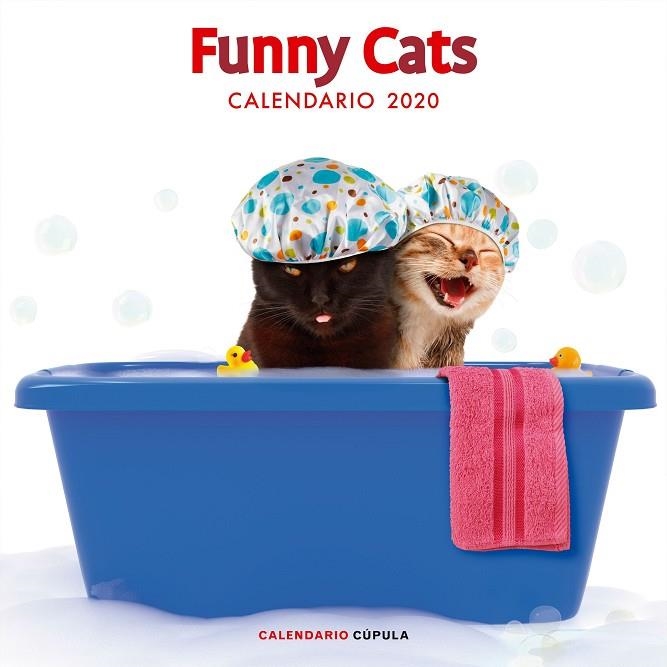 CALENDARIO FUNNY CATS 2020 | 9788448026141 | AA. VV. | Llibreria La Gralla | Llibreria online de Granollers