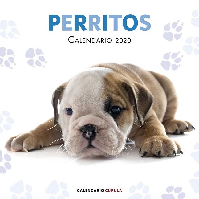 CALENDARIO PERRITOS 2020 | 9788448026158 | AA. VV. | Llibreria La Gralla | Librería online de Granollers