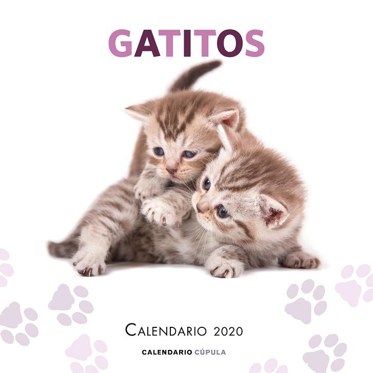 CALENDARIO GATITOS 2020 | 9788448026165 | AA. VV. | Llibreria La Gralla | Librería online de Granollers