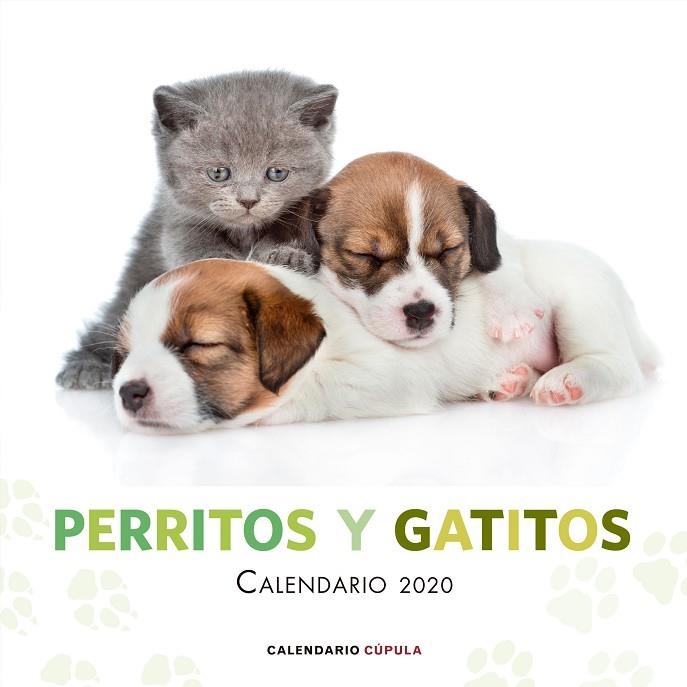 CALENDARIO PERRITOS Y GATITOS 2020 | 9788448026172 | AA. VV. | Llibreria La Gralla | Librería online de Granollers