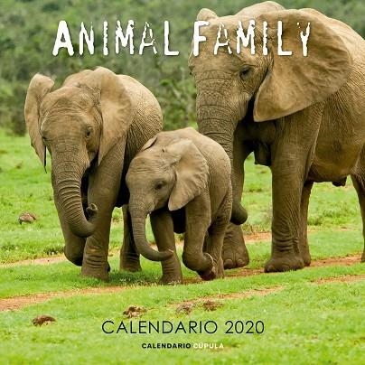 CALENDARIO ANIMAL FAMILY 2020 | 9788448026189 | AA. VV. | Llibreria La Gralla | Llibreria online de Granollers