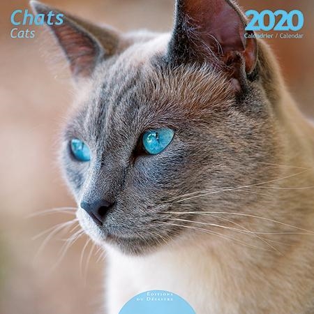 CALENDARIO 2020 CHATS | 9782815805230 | VV.AA | Llibreria La Gralla | Llibreria online de Granollers