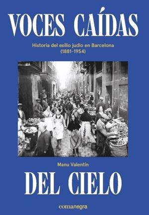 VOCES CAÍDAS DEL CIELO | 9788418022036 | VALENTÍN, MANU | Llibreria La Gralla | Librería online de Granollers
