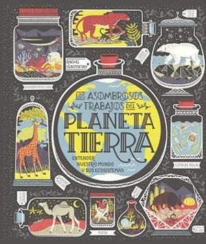 PLANETA TIERRA | 9788417651794 | IGNOTOFSKY, RACHEL | Llibreria La Gralla | Librería online de Granollers