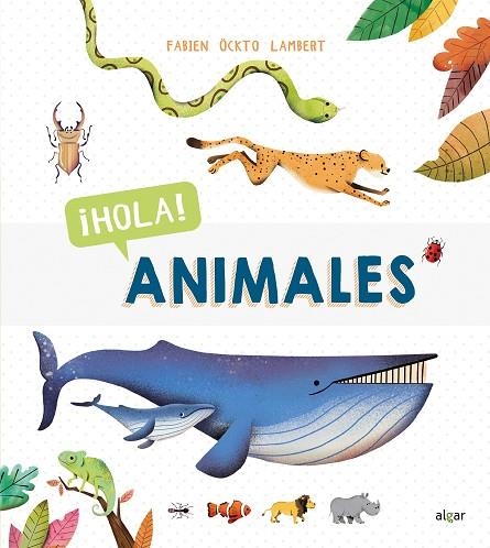 ¡HOLA  ANIMALES | 9788491423102 | ÖCKTO LAMBERT, FABIEN | Llibreria La Gralla | Llibreria online de Granollers