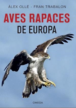 AVES RAPACES DE EUROPA | 9788428216975 | OLLE, ALEX/TRABALON, FRAN | Llibreria La Gralla | Librería online de Granollers